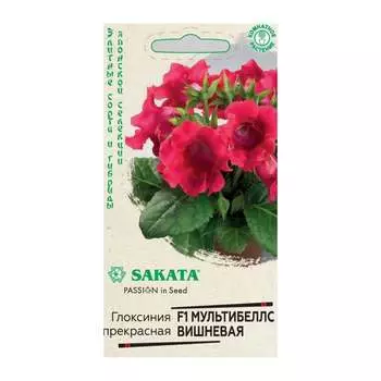 Семена ГАВРИШ Эксклюзив 10717947