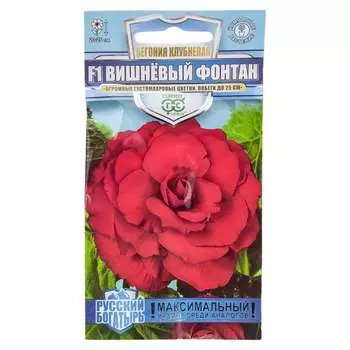 Семена ГАВРИШ Русский богатырь 1999949463