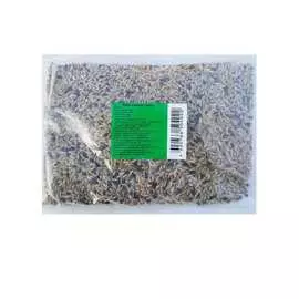 Семена Green Deer