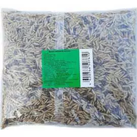 Семена Green Deer