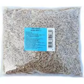 Семена Green Deer