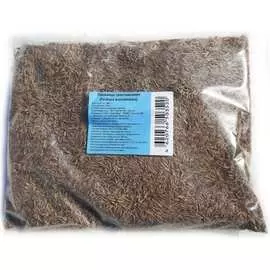 Семена Green Deer