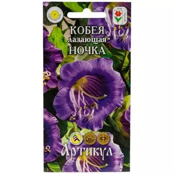 Семена кобея лазающая Артикул Ночка (Кафедрал Беллз) 4607089742010