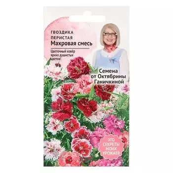 Семена ОКТЯБРИНА ГАНИЧКИНА 124236