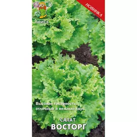 Семена Агрохолдинг ПОИСК Восторг 721877