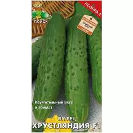 Семена Агрохолдинг ПОИСК