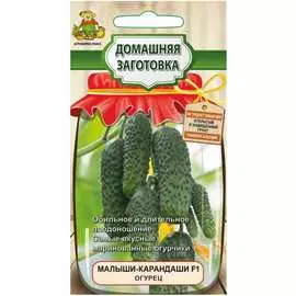 Семена Агрохолдинг ПОИСК Огурец Малыши-карандаши F1 735099