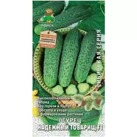 Семена Агрохолдинг ПОИСК Огурец Надежный товарищ F1 731659