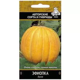 Семена Агрохолдинг ПОИСК Дыня Эфиопка 676097