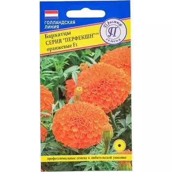 Семена Престиж-Семена 00003621