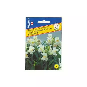 Семена Престиж-Семена 00003762