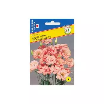 Семена Престиж-Семена 00003976