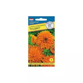 Семена Престиж-Семена 00009792