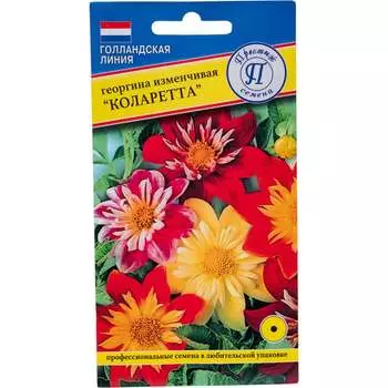 Семена Престиж-Семена 00015571