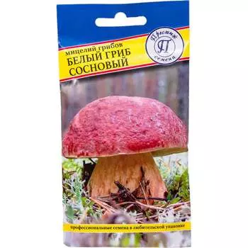 Семена Престиж-Семена 00018945