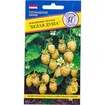 Семена Престиж-Семена 00020808