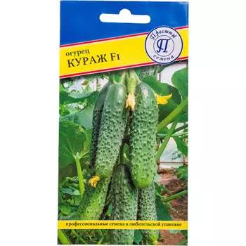 Семена Престиж-Семена 00029115