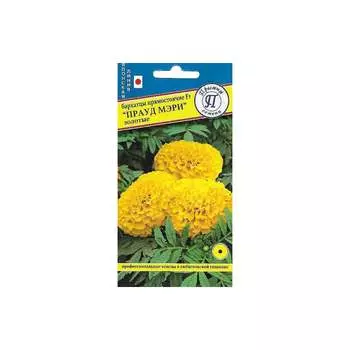 Семена Престиж-Семена 00030084