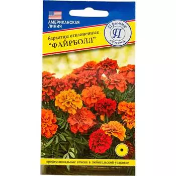 Семена Престиж-Семена 00032167