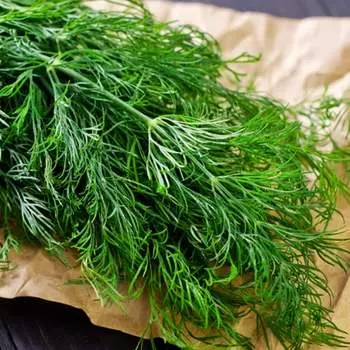 Семена Престиж-Семена 00035303