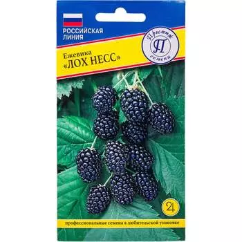 Семена Престиж-Семена 00035686