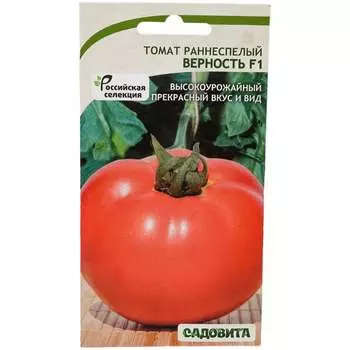 Семена Садовита 00198824