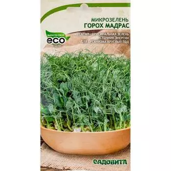 Семена Садовита 00207849