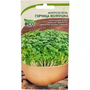 Семена Садовита 00207850