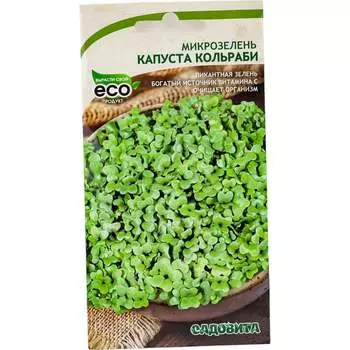Семена Садовита 00207852