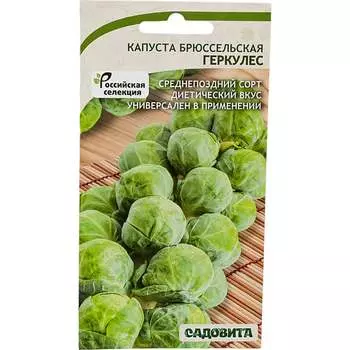 Семена Садовита 00216405