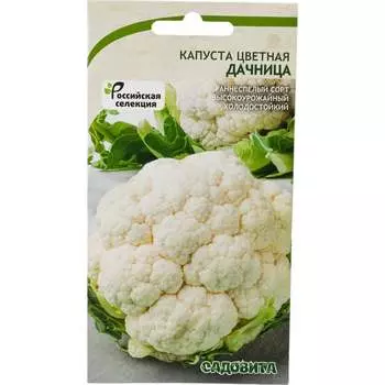 Семена Садовита 00216420