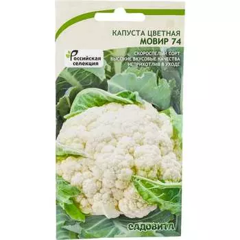 Семена Садовита 00216424