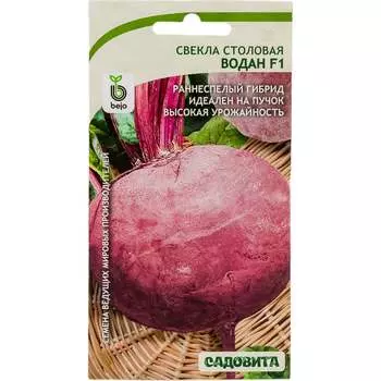 Семена Садовита 00216446