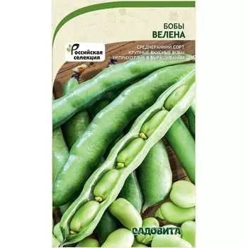 Семена Садовита 00216500