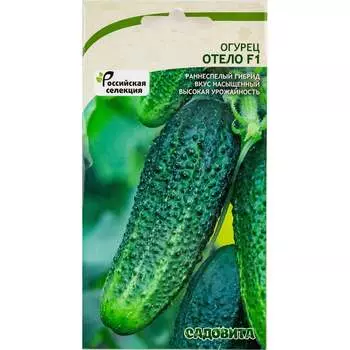 Семена Садовита 00216532