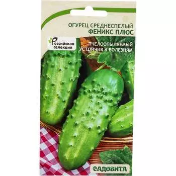 Семена Садовита 00216539