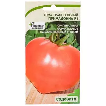 Семена Садовита 00216568