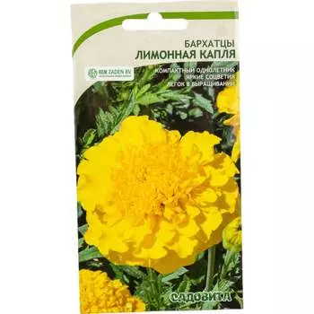 Семена Садовита 00222510