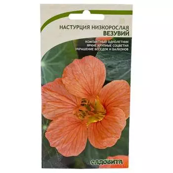 Семена Садовита 00222576