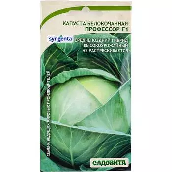 Семена Садовита Syngenta 00216401