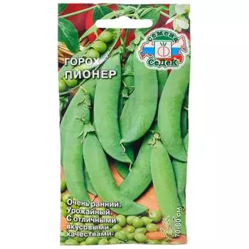 Семена СеДек 13492