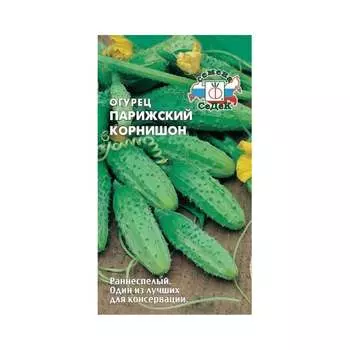 Семена СеДек 13599