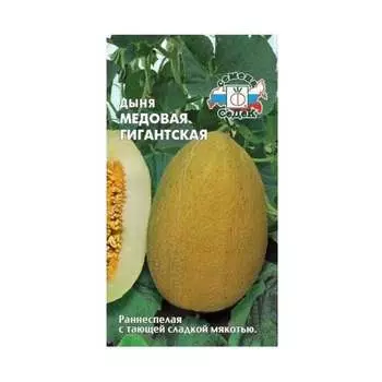 Семена СеДек 13631