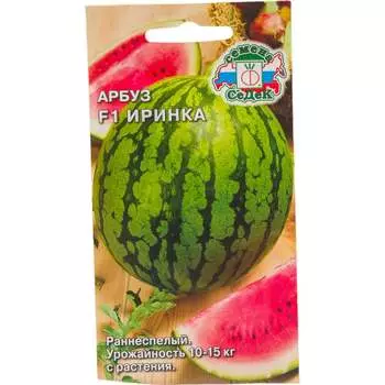 Семена СеДек 14833