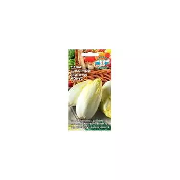 Семена СеДек 15929