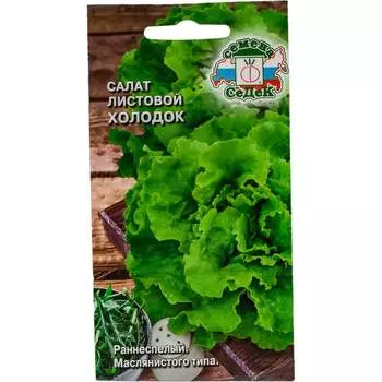 Семена СеДек 16423