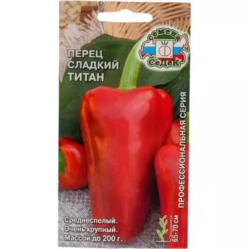 Семена СеДек 16481