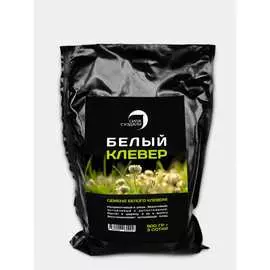 Семена Сила Суздаля