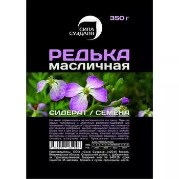 Семена Сила Суздаля