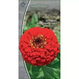 Семена Ваше Хозяйство